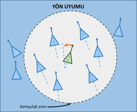 Y&ouml;n Uyumu Kuralı