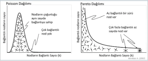 Ağların Pareto ve Poisson Dağılımı