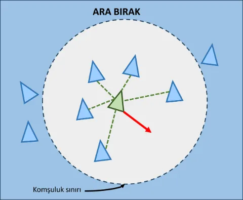 ARA BIRAK