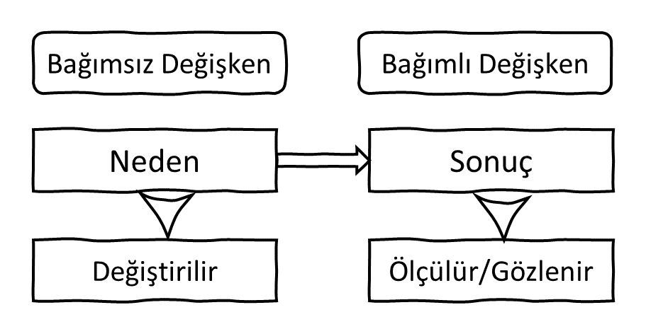 Bağımlı ve Bağımsız Değişkenler